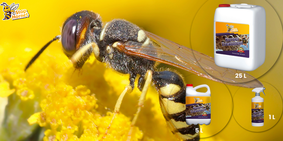 Op zoek naar een behandeling tegen Horzels en Wespen? Stop Hornet is de oplossing voor uw probleem.