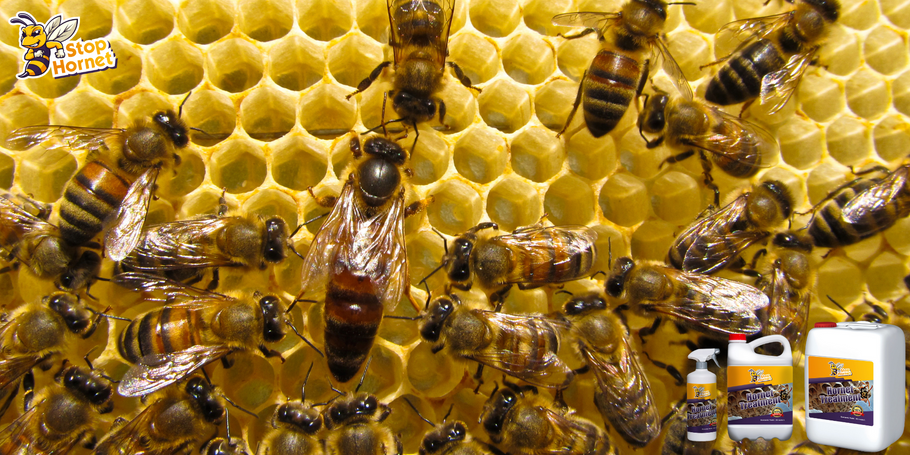 Kan het anti-horzel- en wespenproduct worden gebruikt in de buurt van kasten of bijenvolken?